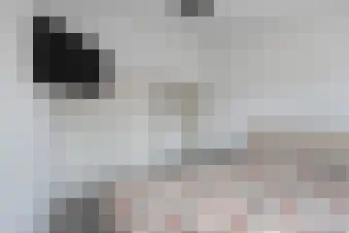 Europalaan 32 Emmeloord thumbnail 35