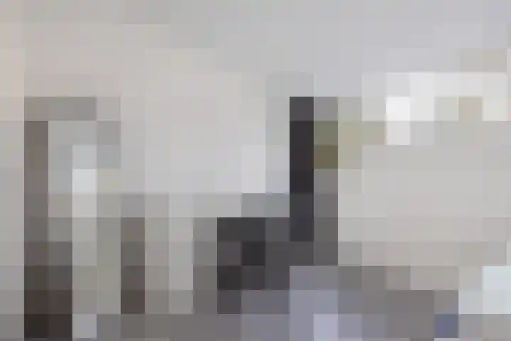Europalaan 32 Emmeloord thumbnail 37