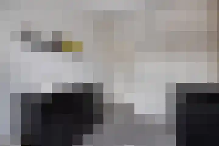 Europalaan 32 Emmeloord thumbnail 38