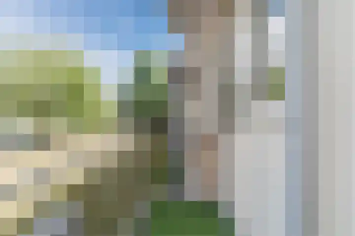Europalaan 321 Tilburg thumbnail 28