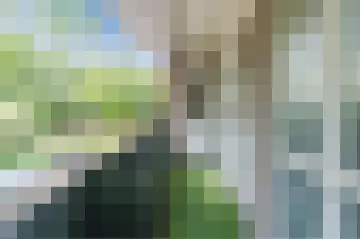 Europalaan 321 Tilburg thumbnail 31