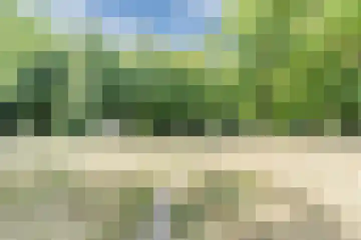 Europalaan 321 Tilburg thumbnail 36
