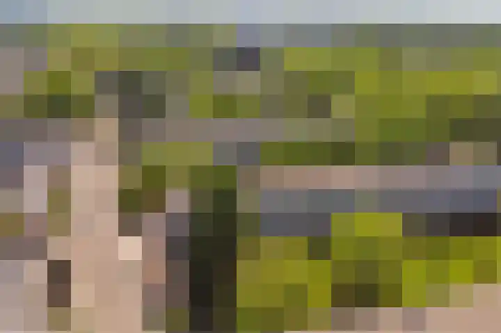 Europalaan 321 Tilburg thumbnail 4