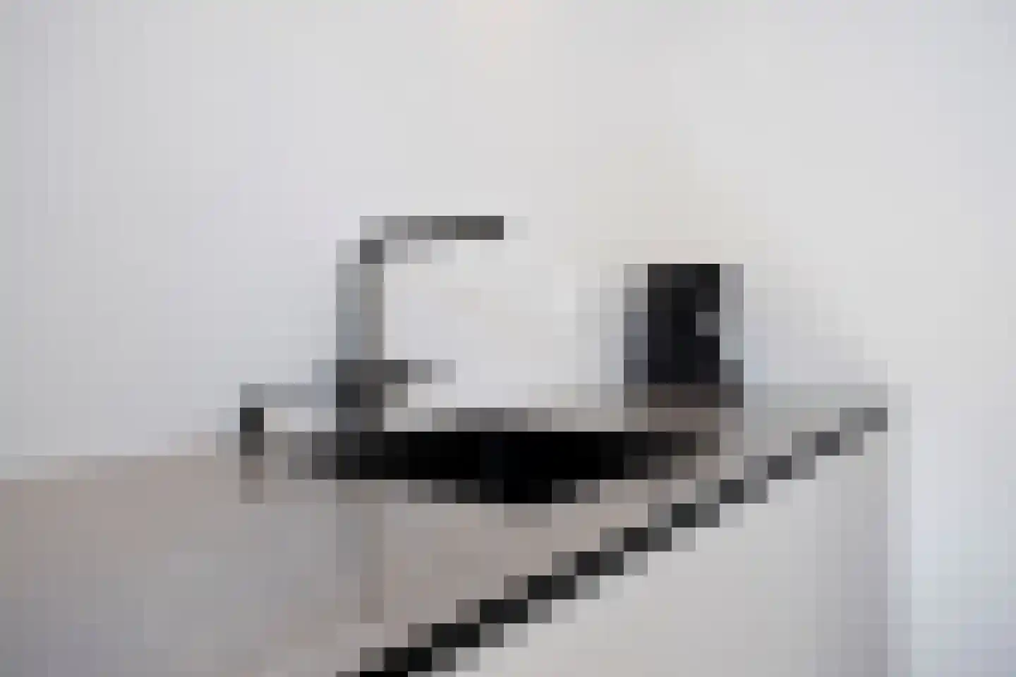 Europalaan 33 Geleen thumbnail 24