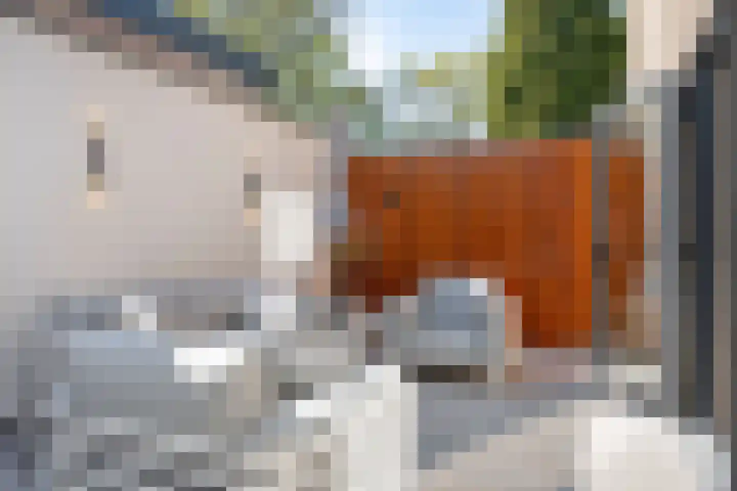 Europalaan 33 Geleen thumbnail 25