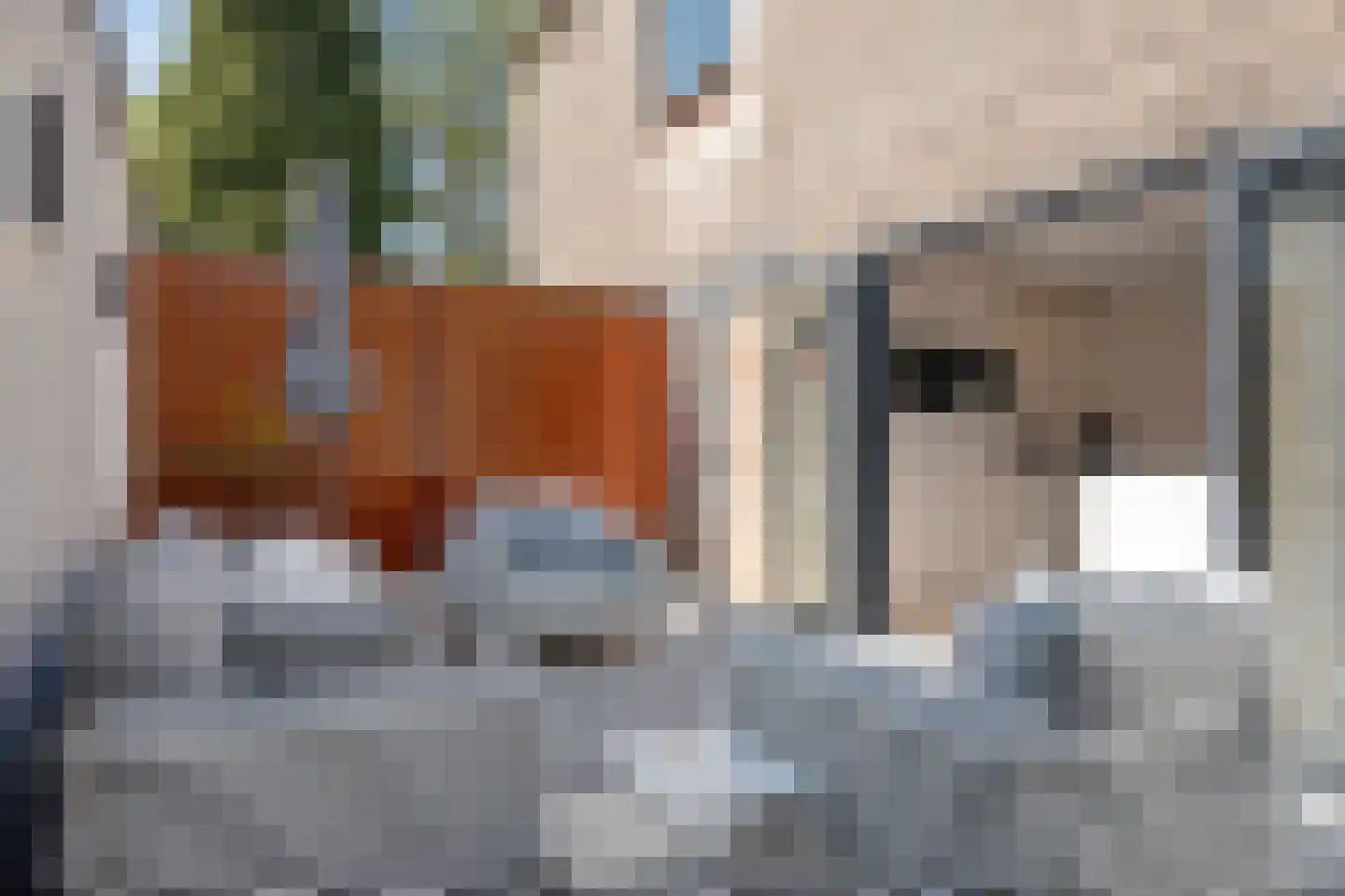 Europalaan 33 Geleen thumbnail 26
