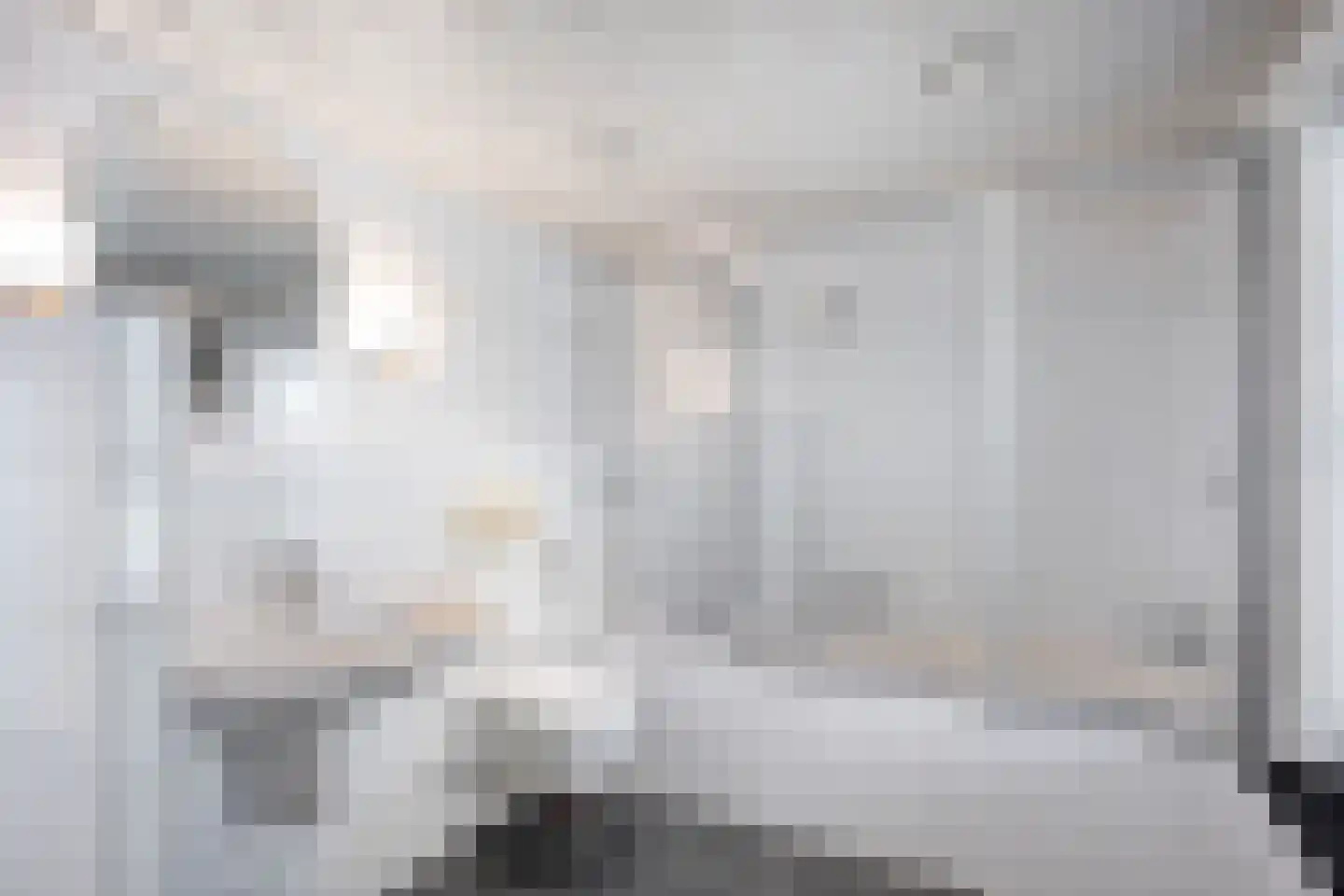 Europalaan 33 Geleen thumbnail 38