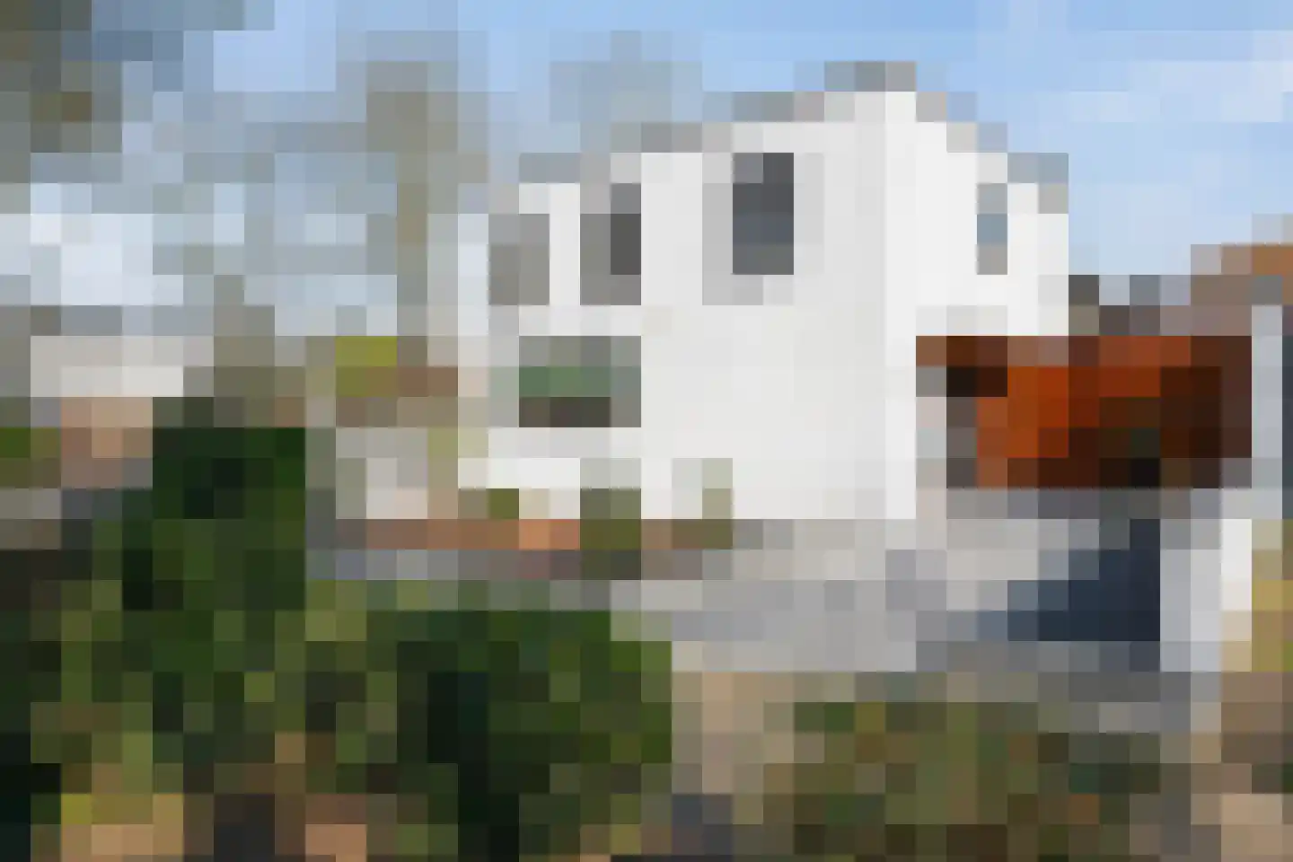 Europalaan 33 Geleen thumbnail 8