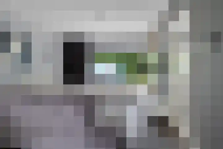 Europalaan 33 Heerenveen thumbnail 11