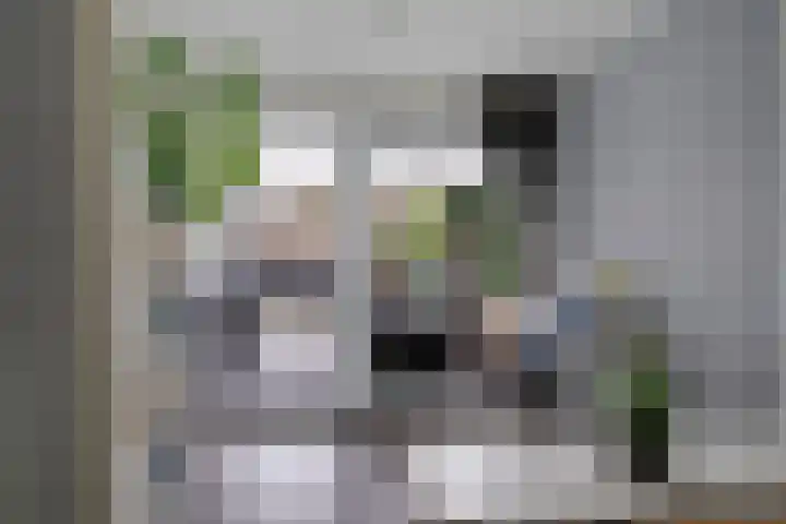 Europalaan 33 Heerenveen thumbnail 21