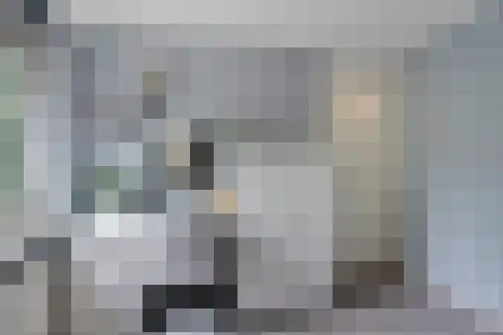 Europalaan 33 Heerenveen thumbnail 30