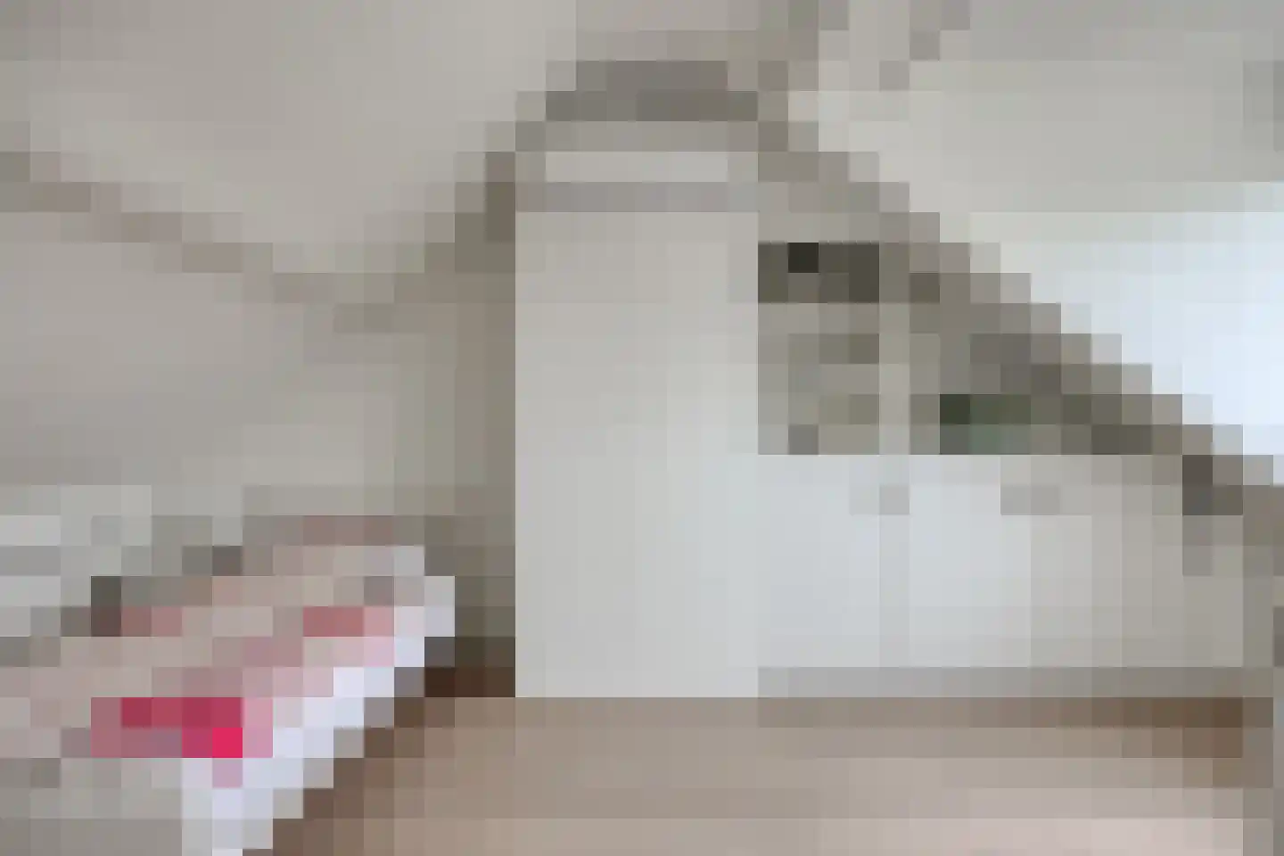 Europalaan 34 Drunen thumbnail 35