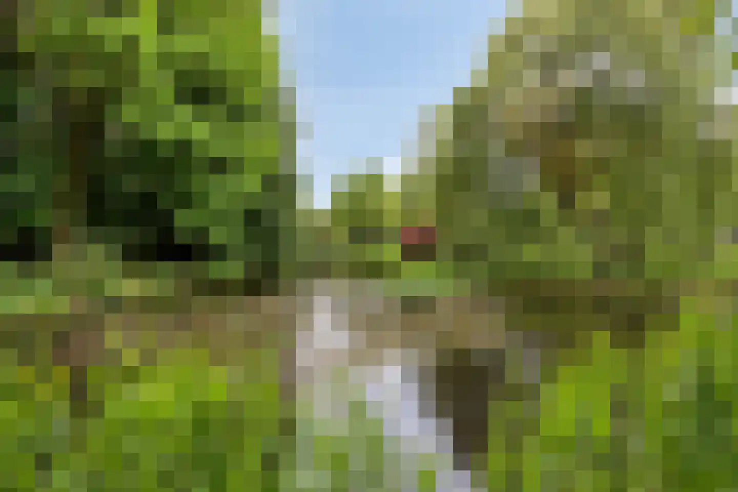 Europalaan 34 Drunen thumbnail 51