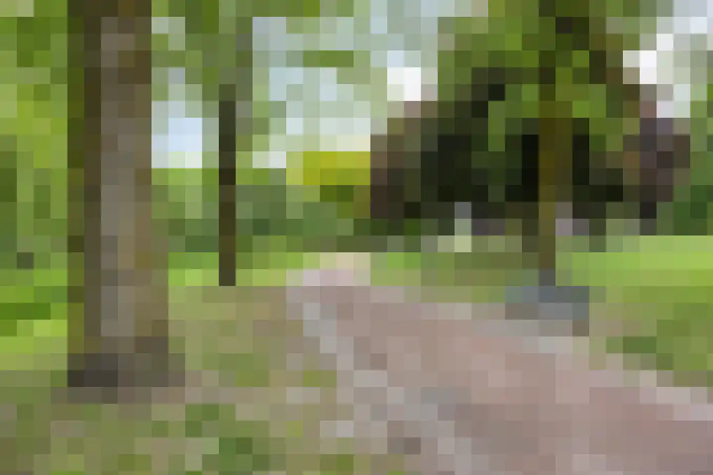 Europalaan 34 Drunen thumbnail 52