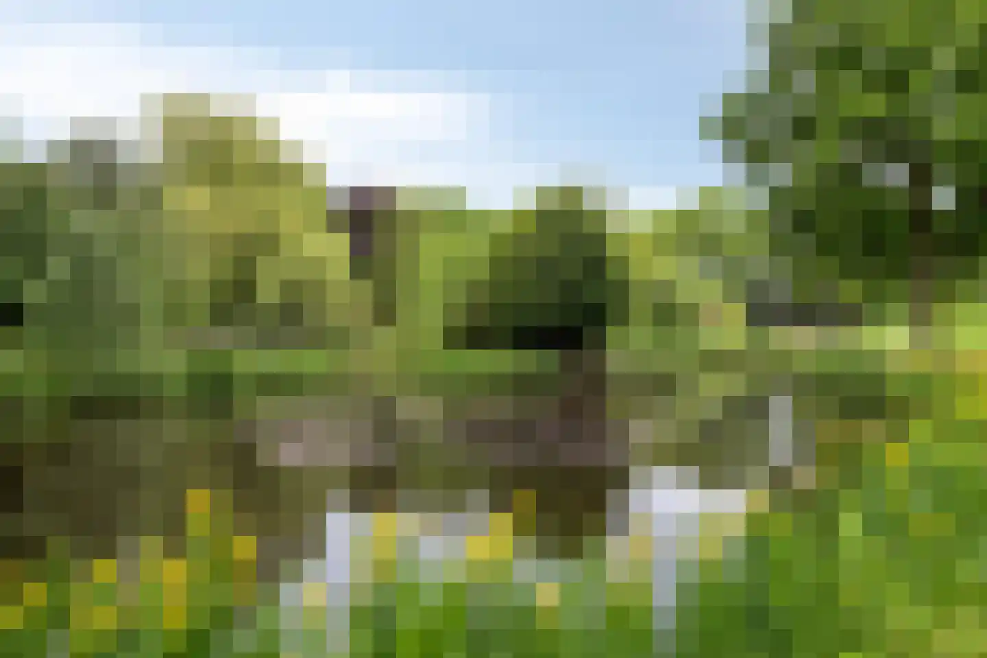 Europalaan 34 Drunen thumbnail 53