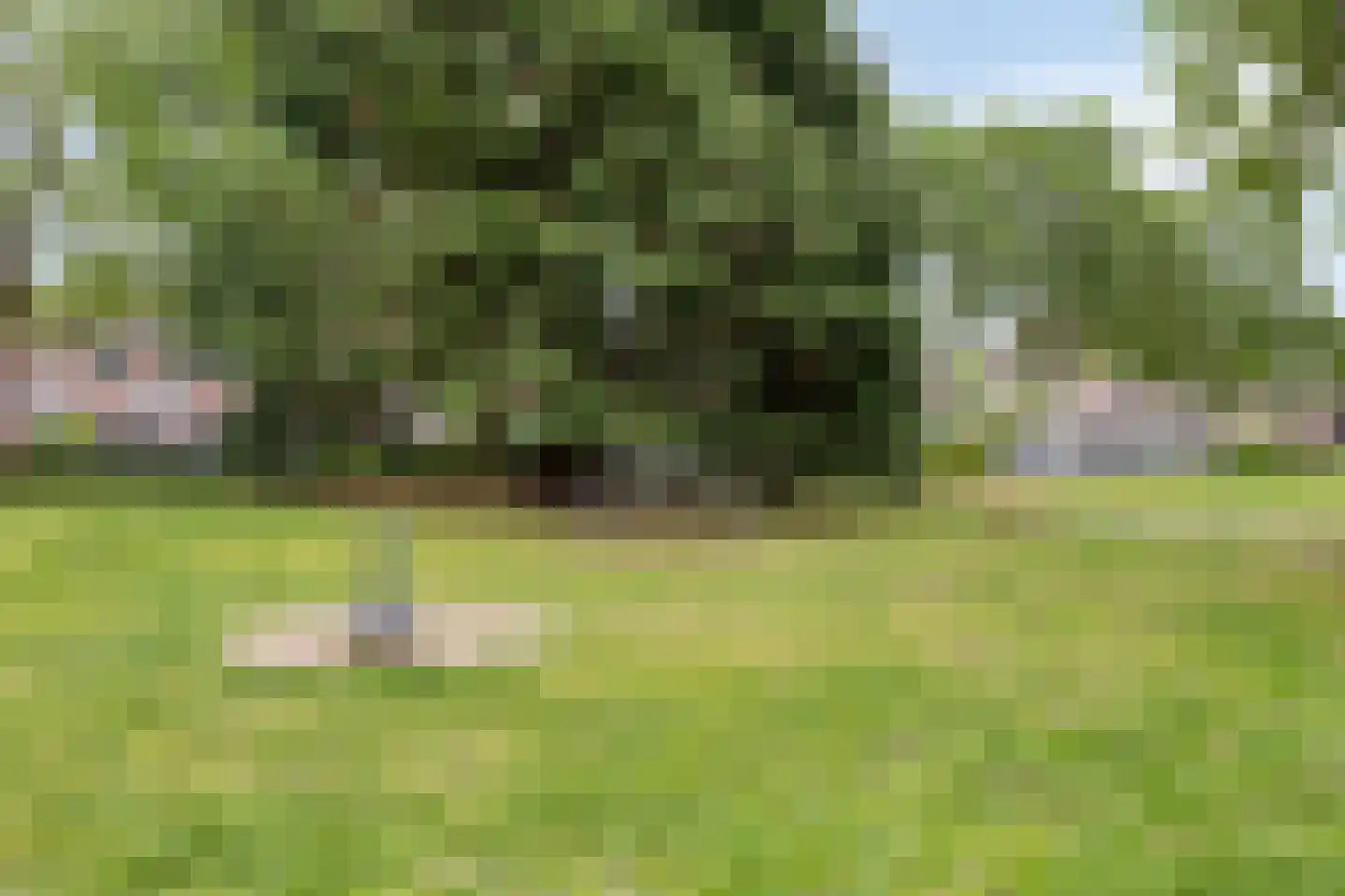 Europalaan 34 Drunen thumbnail 57