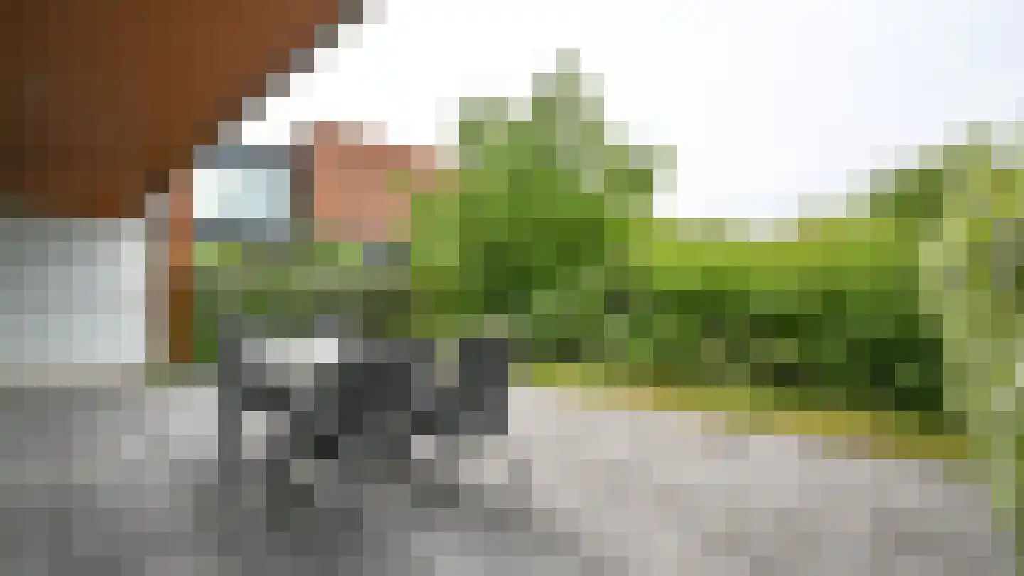 Europalaan 35 2 West-Terschelling thumbnail 5