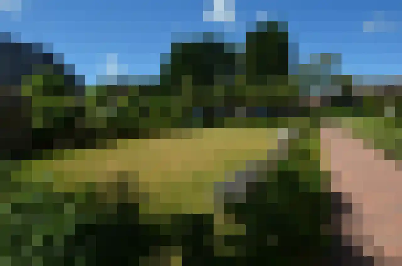 Europalaan 35 4 West-Terschelling thumbnail 23