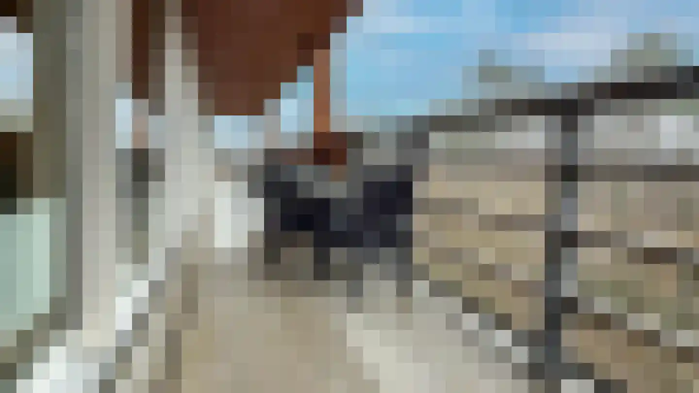 Europalaan 35 40 West-Terschelling thumbnail 4