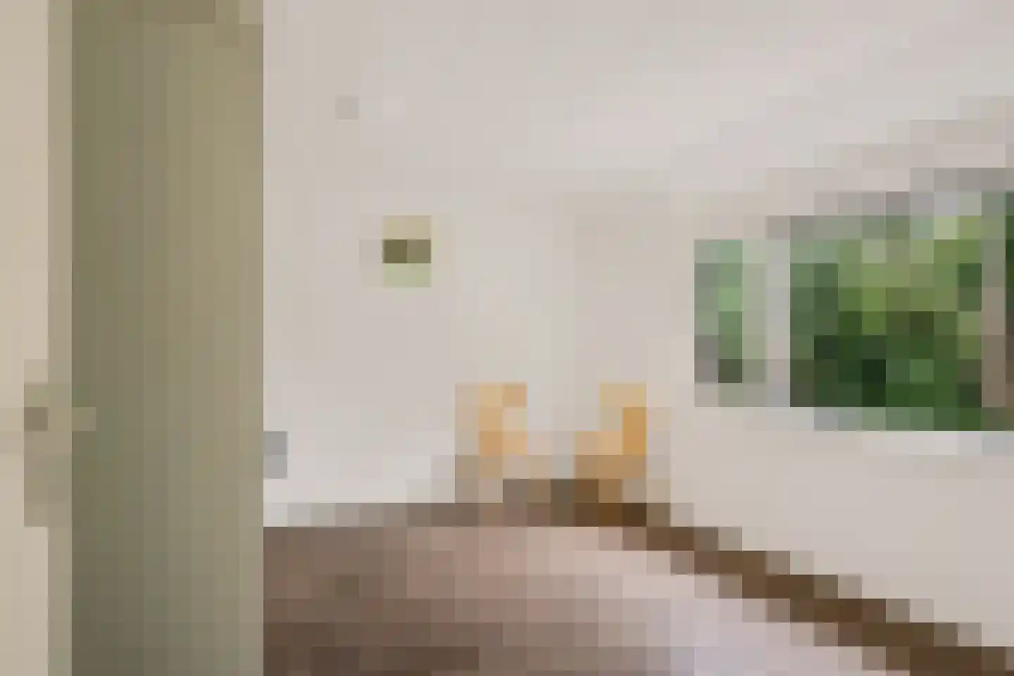 Europalaan 35 Heerenveen thumbnail 18