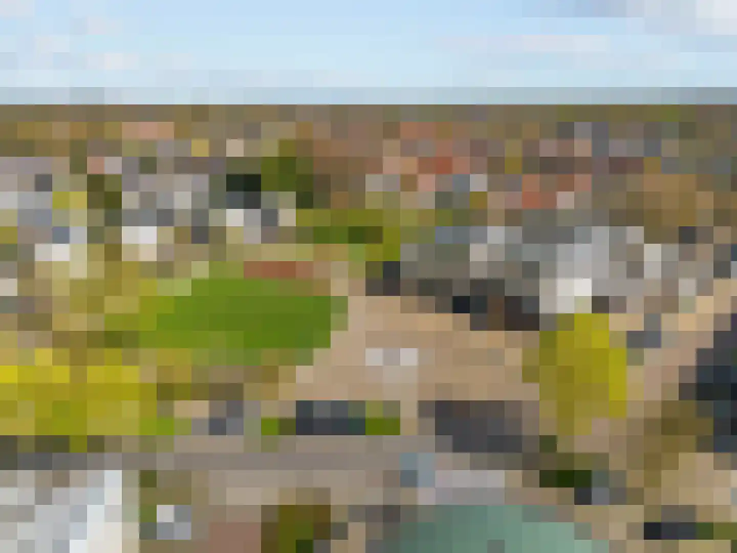 Europalaan 35 Renkum thumbnail 34