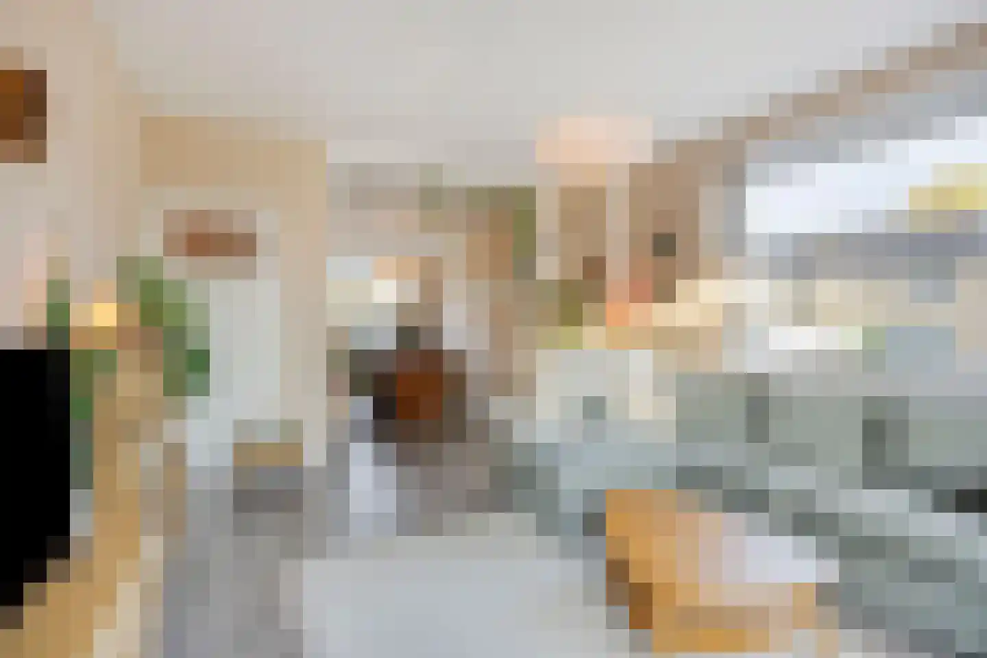 Europalaan 365 Tilburg thumbnail 18