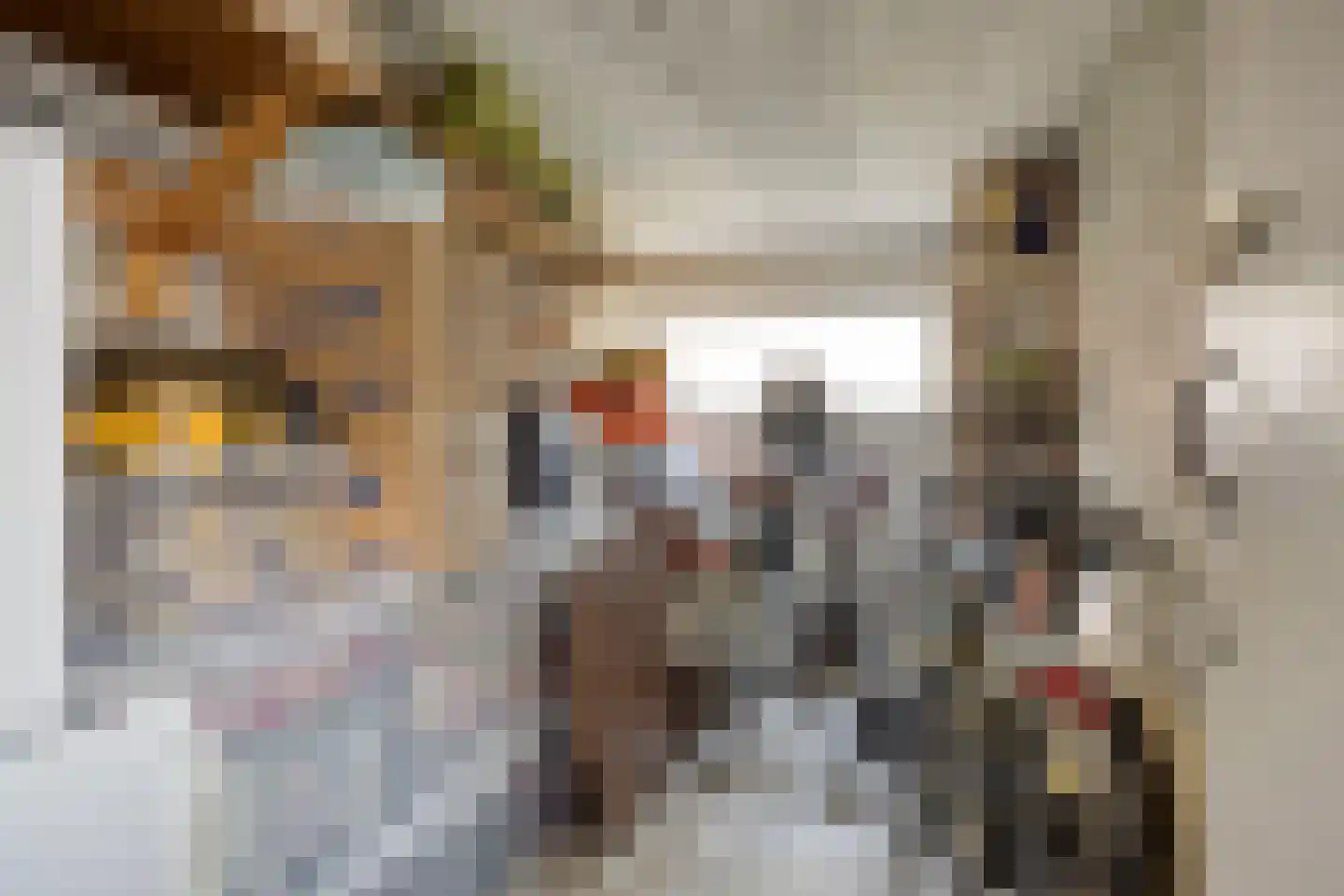 Europalaan 365 Tilburg thumbnail 38