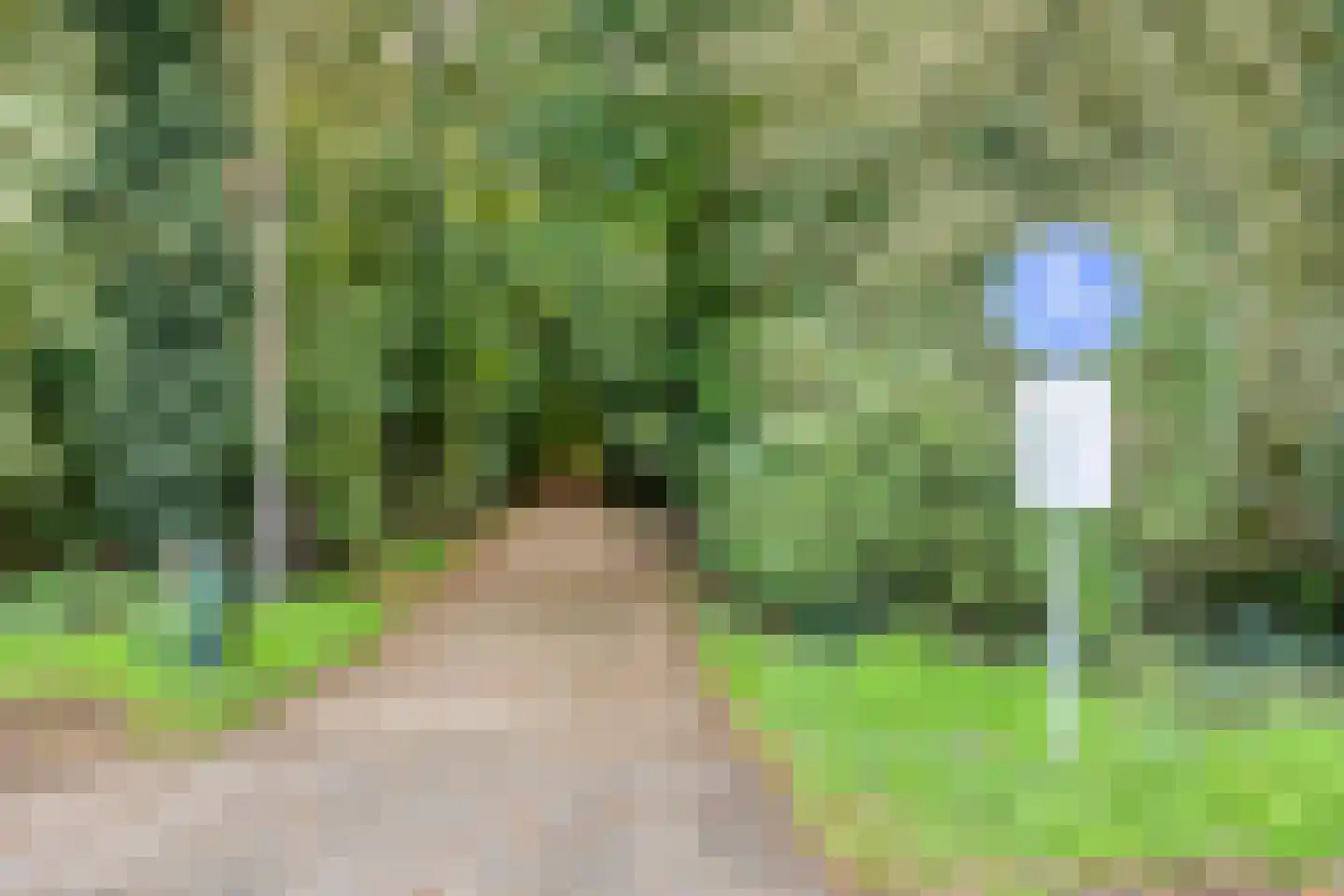 Europalaan 365 Tilburg thumbnail 44