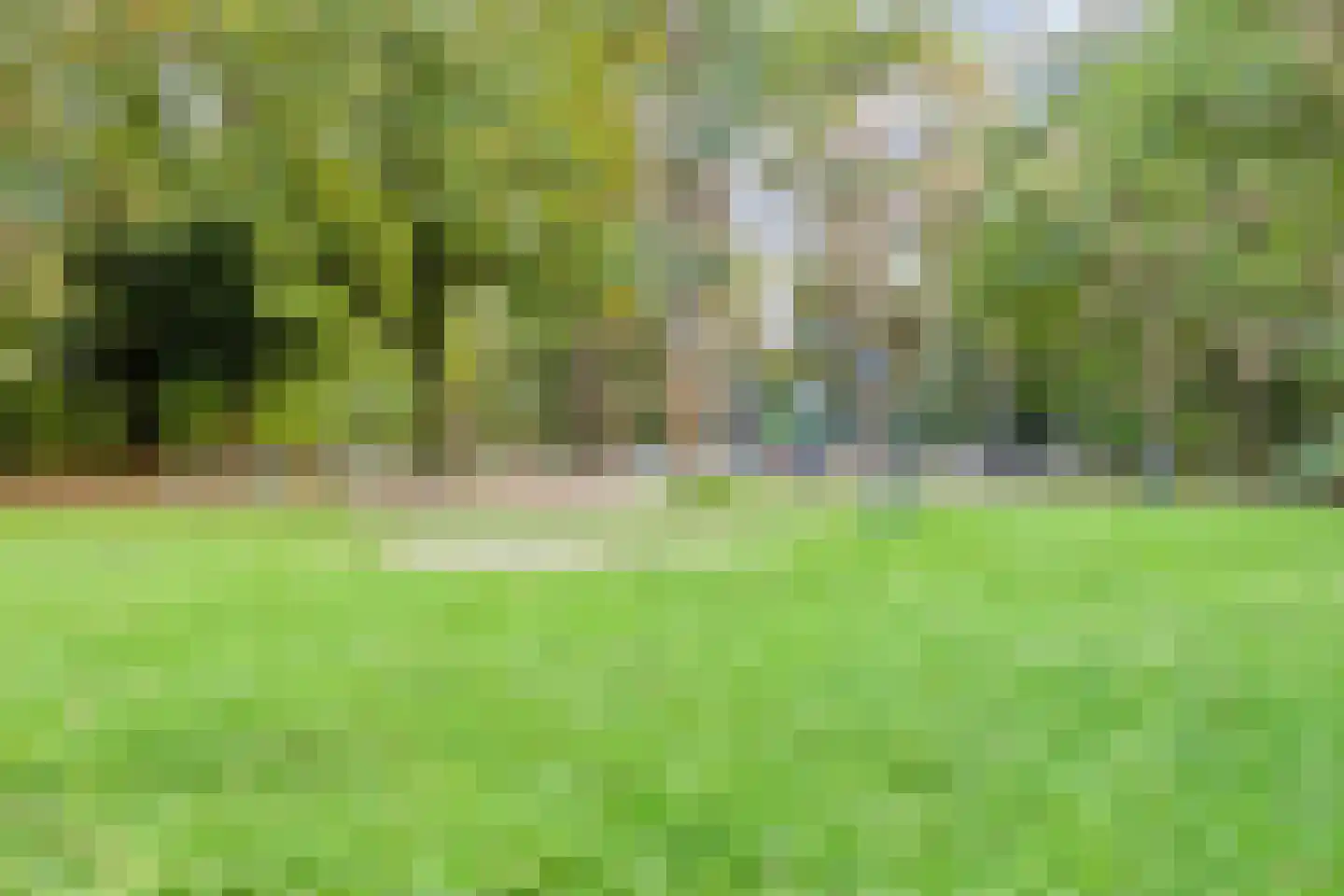 Europalaan 365 Tilburg thumbnail 46