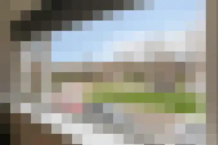 Europalaan 37 Rheden thumbnail 19