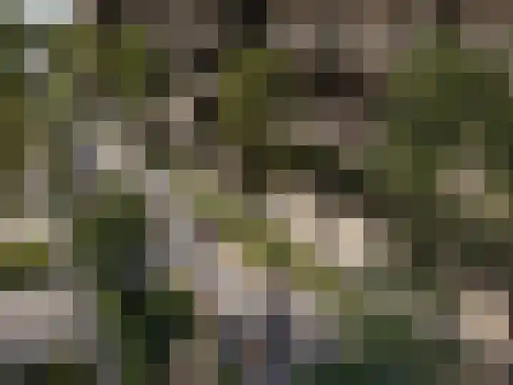 Europalaan 37 Utrecht thumbnail 4