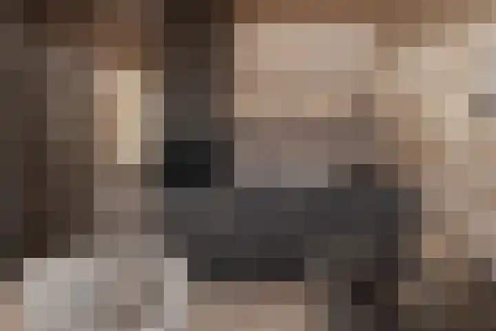 Europalaan 37 Utrecht thumbnail 5