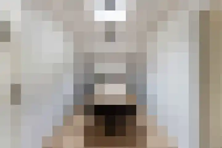 Europalaan 4 Ammerstol thumbnail 10