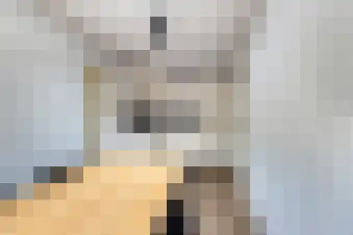 Europalaan 4 Ammerstol thumbnail 11
