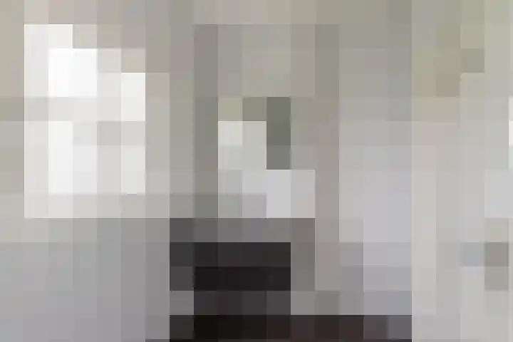 Europalaan 4 Ammerstol thumbnail 16