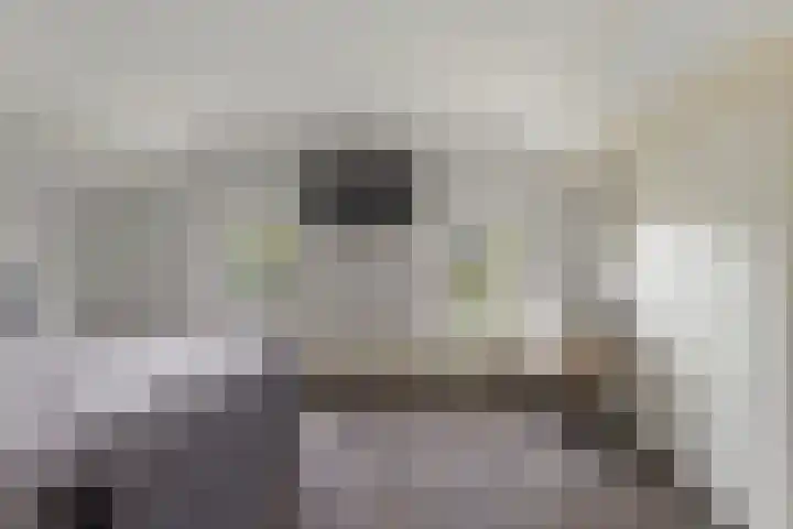 Europalaan 4 Ammerstol thumbnail 21