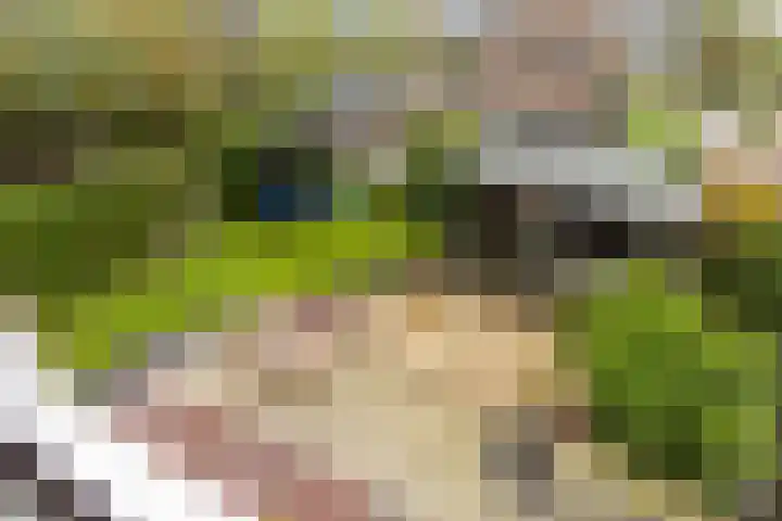 Europalaan 4 Ammerstol thumbnail 22
