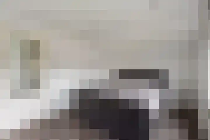Europalaan 4 Ammerstol thumbnail 23