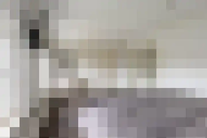 Europalaan 4 Ammerstol thumbnail 24
