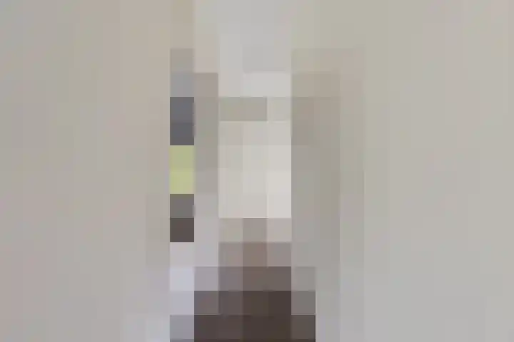 Europalaan 4 Ammerstol thumbnail 25