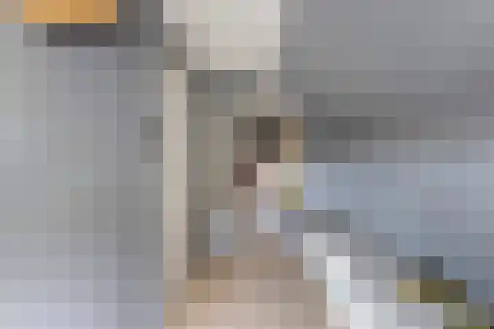 Europalaan 4 Ammerstol thumbnail 27