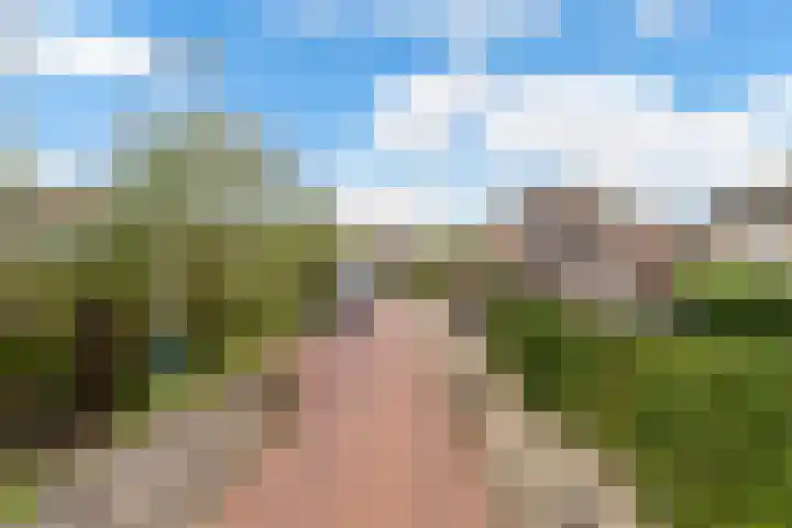 Europalaan 4 Ammerstol thumbnail 32