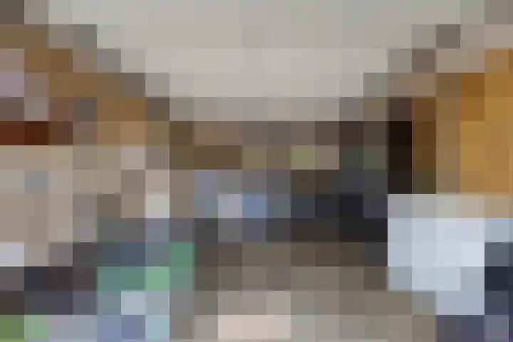 Europalaan 4 Ammerstol thumbnail 35