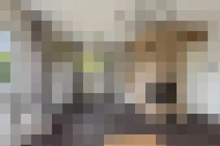 Europalaan 4 Ammerstol thumbnail 5