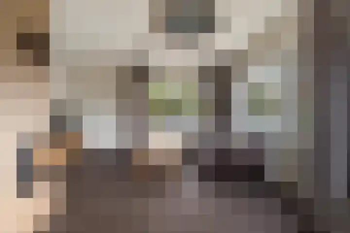 Europalaan 4 Ammerstol thumbnail 6