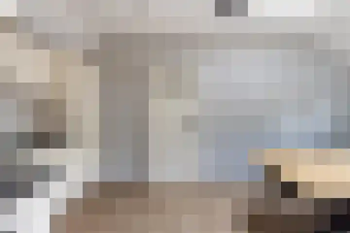 Europalaan 4 Ammerstol thumbnail 9