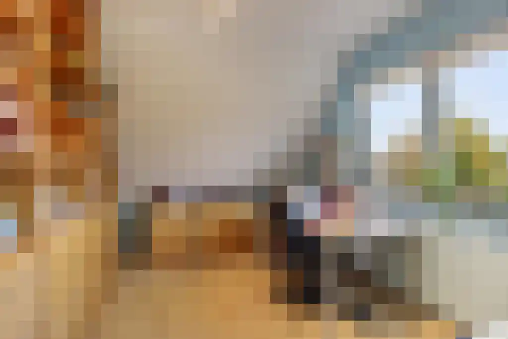 Europalaan 4 Valkenswaard thumbnail 30