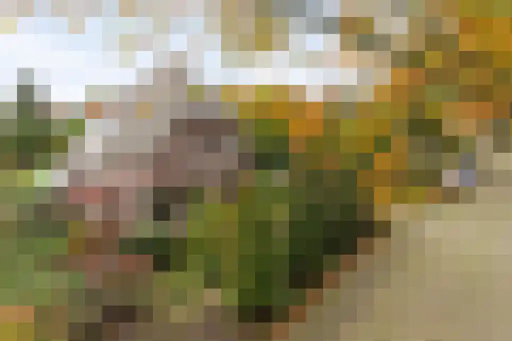 Europalaan 4 Valkenswaard thumbnail 35