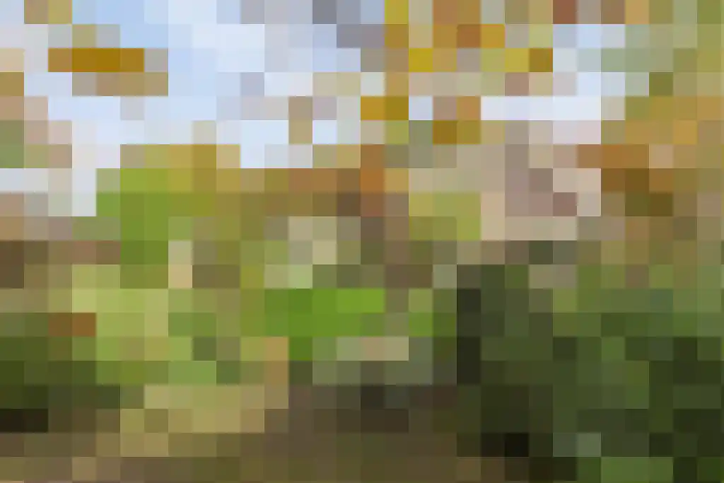 Europalaan 4 Valkenswaard thumbnail 38