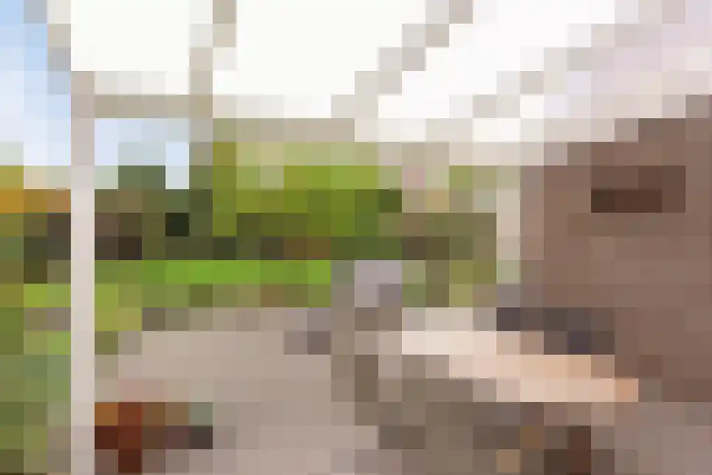 Europalaan 4 Valkenswaard thumbnail 39